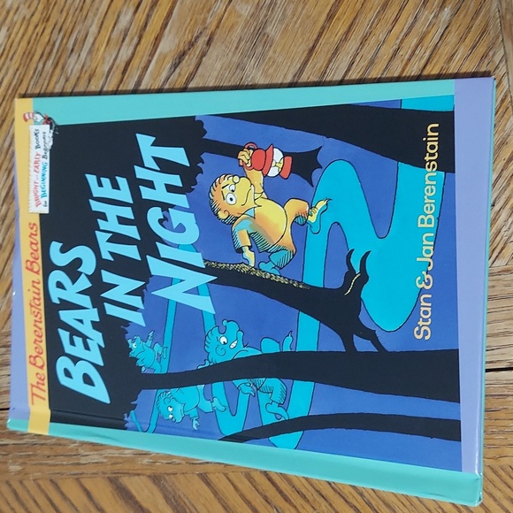 The Berenstain Bears Bears In The Night - Picture 1 of 14